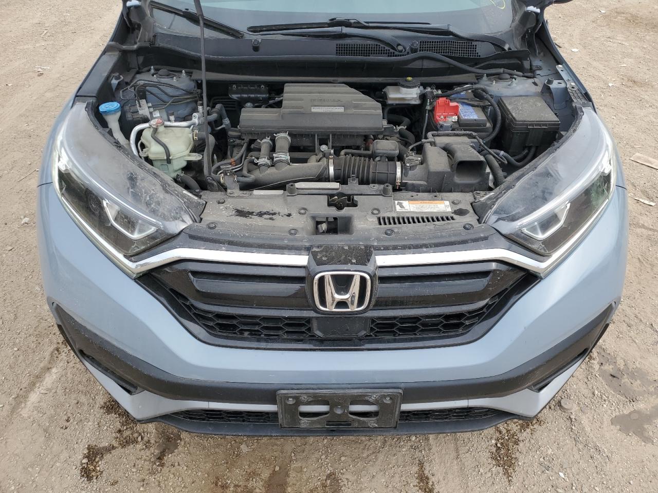 2020 Honda Cr-V Ex VIN: 5J6RW2H59LL023307 Lot: 81321205