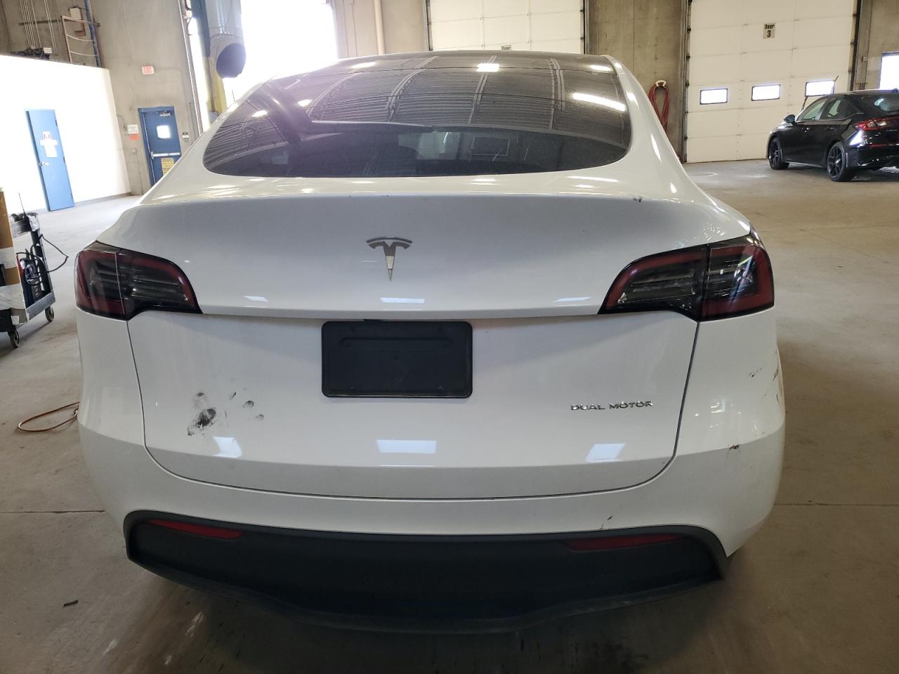 2024 Tesla Model Y VIN: 7SAYGDEE5RF163397 Lot: 81123655