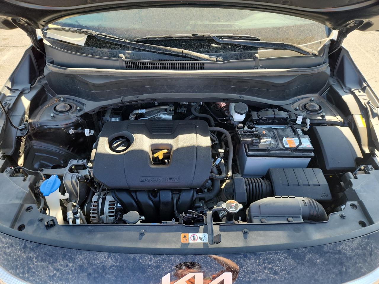 2023 Kia Seltos S VIN: KNDEUCAA0P7447156 Lot: 71193235