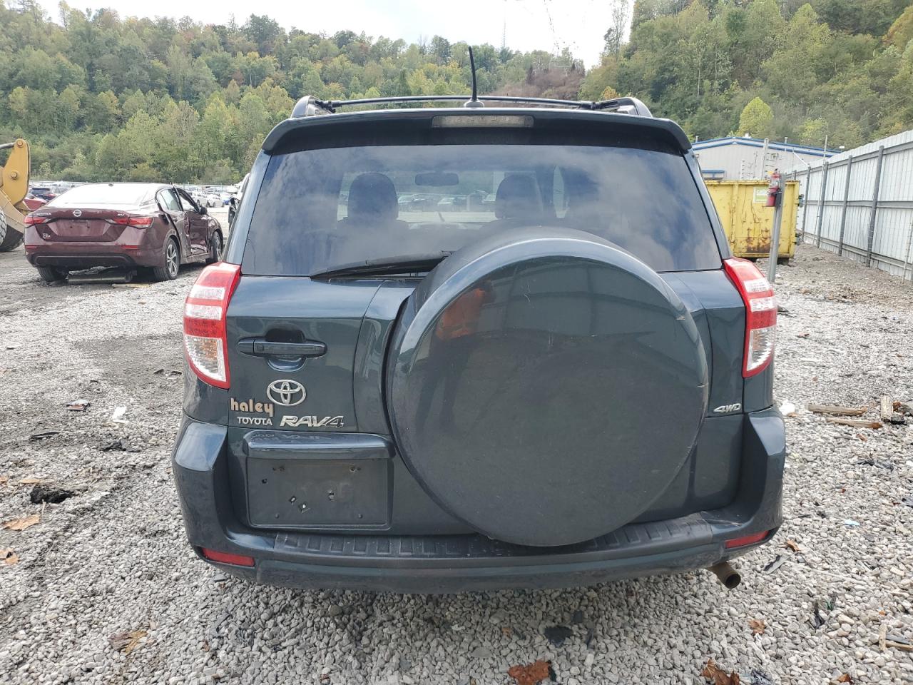 2010 Toyota Rav4 Limited VIN: 2T3DK4DV0AW017144 Lot: 82041735