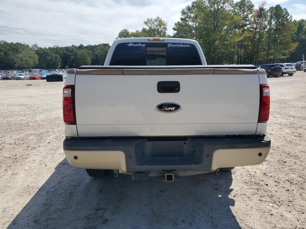 2009 Ford F250 Super Duty VIN: 1FTSW21R09EB23412 Lot: 71977095