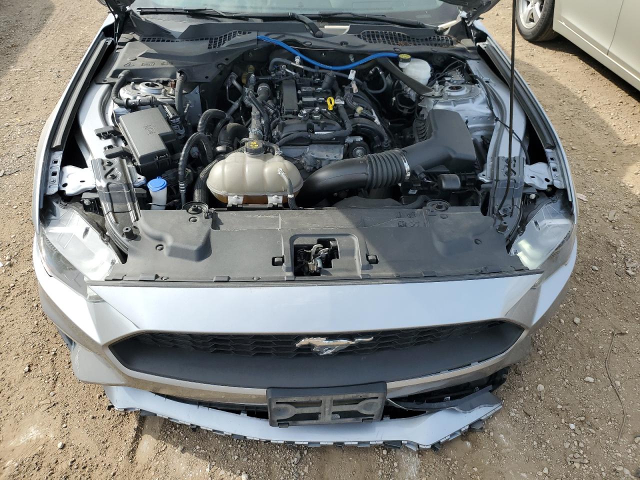 2022 Ford Mustang VIN: 1FATP8UH4N5100903 Lot: 81326215