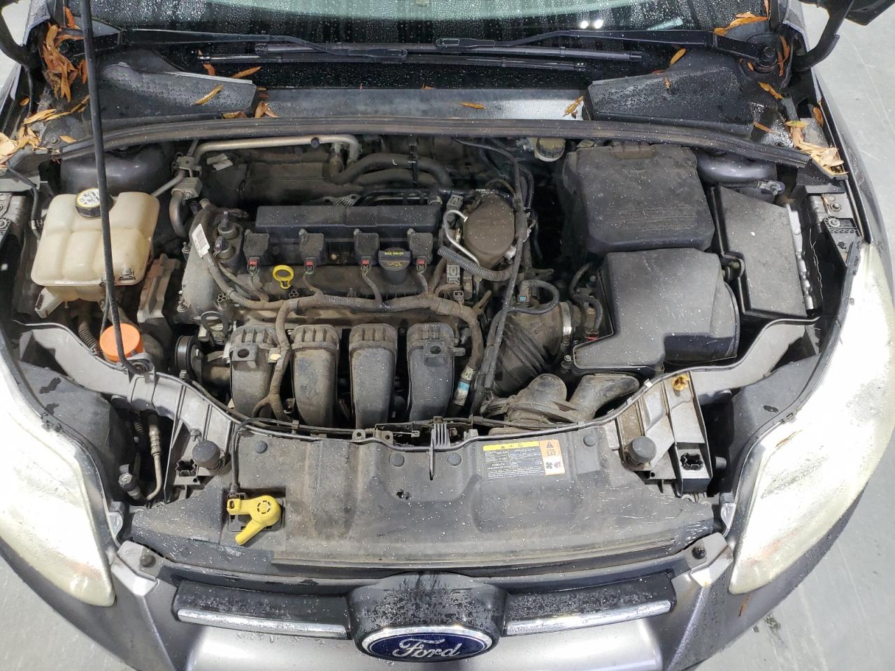 2013 Ford Focus Se VIN: 1FADP3F28DL266562 Lot: 82171555