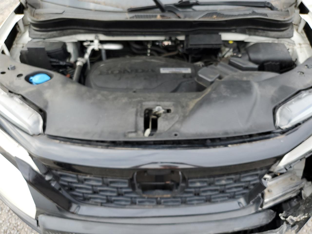 2019 Honda Passport VIN: 5FNYF8H06KB001033 Lot: 81599635