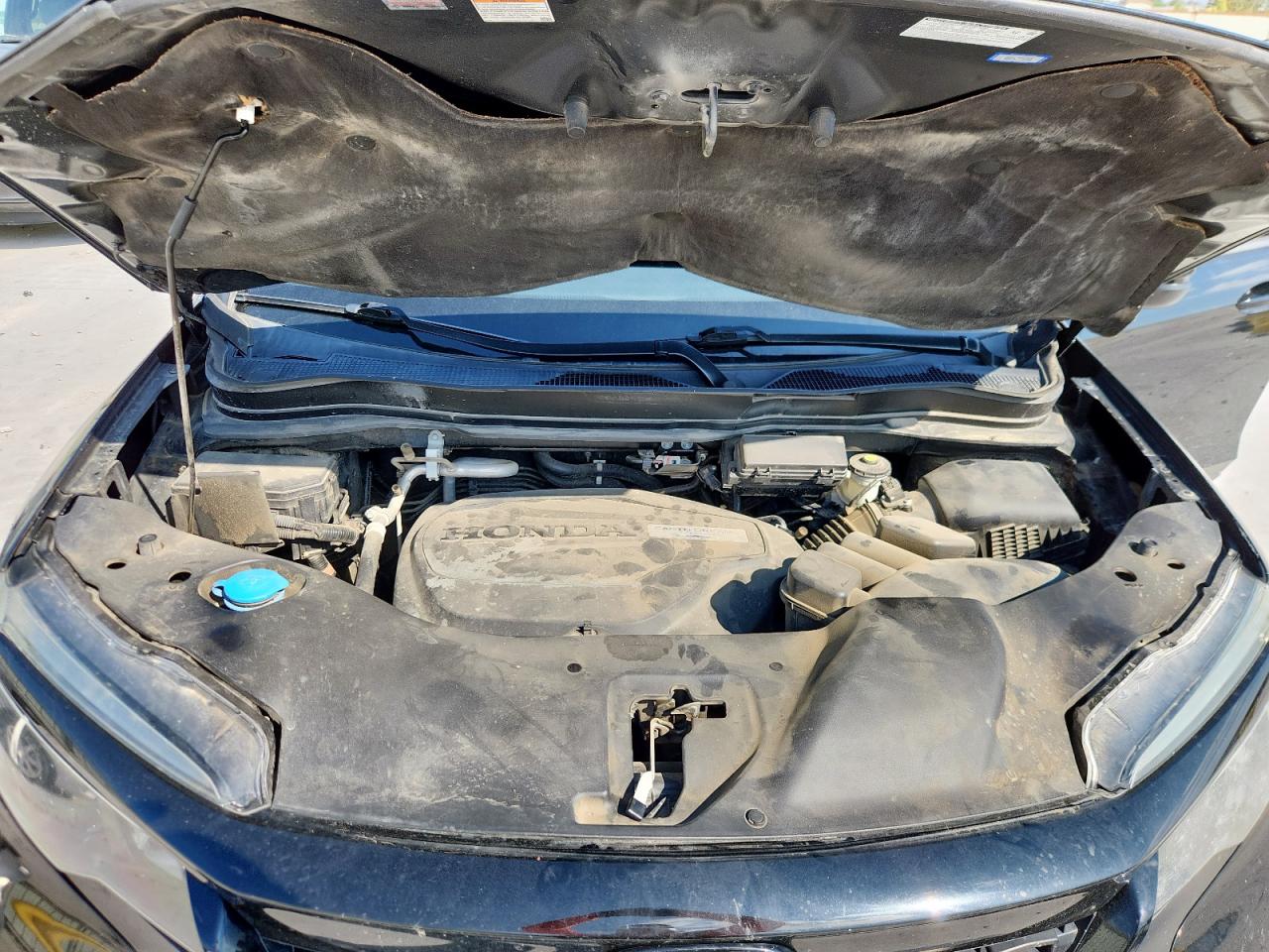 2019 Honda Passport Sport VIN: 5FNYF7H21KB007902 Lot: 81842075