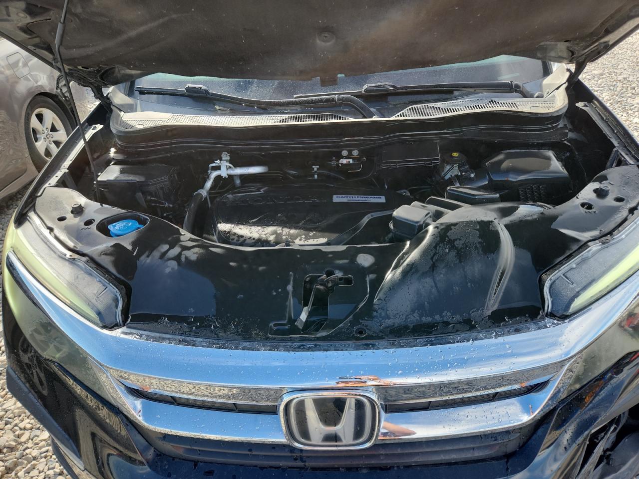 2019 Honda Pilot Exl VIN: 5FNYF6H58KB024720 Lot: 80124725