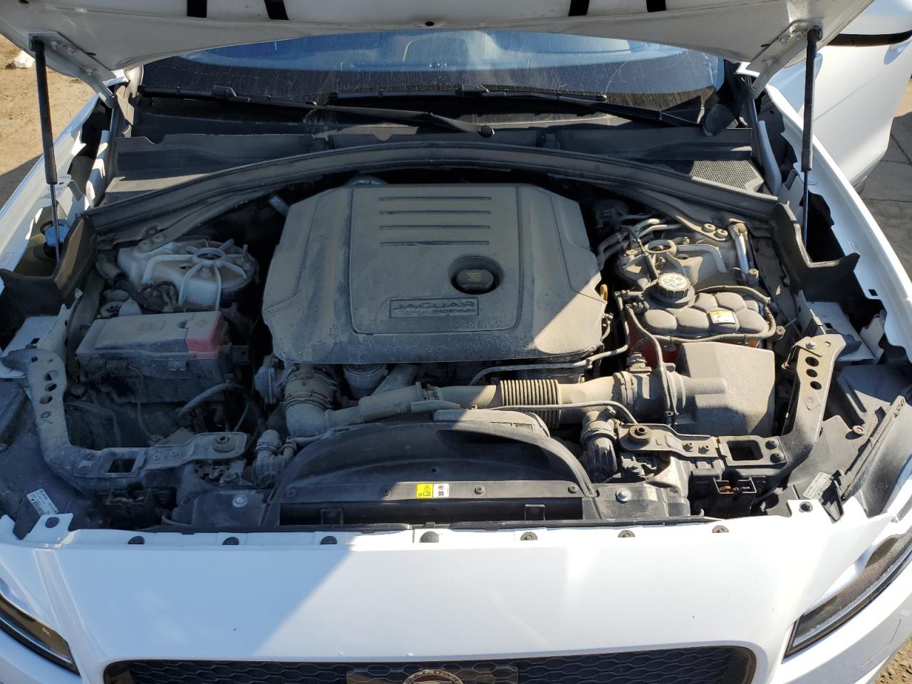 2019 Jaguar F-Pace Prestige VIN: SADCK2FN1KA359381 Lot: 71078365