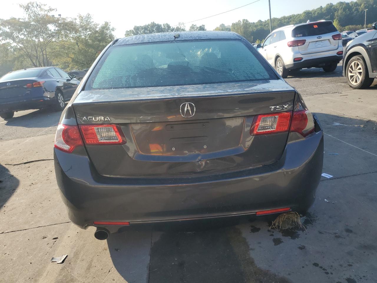2010 Acura Tsx VIN: JH4CU2F68AC022352 Lot: 80333885