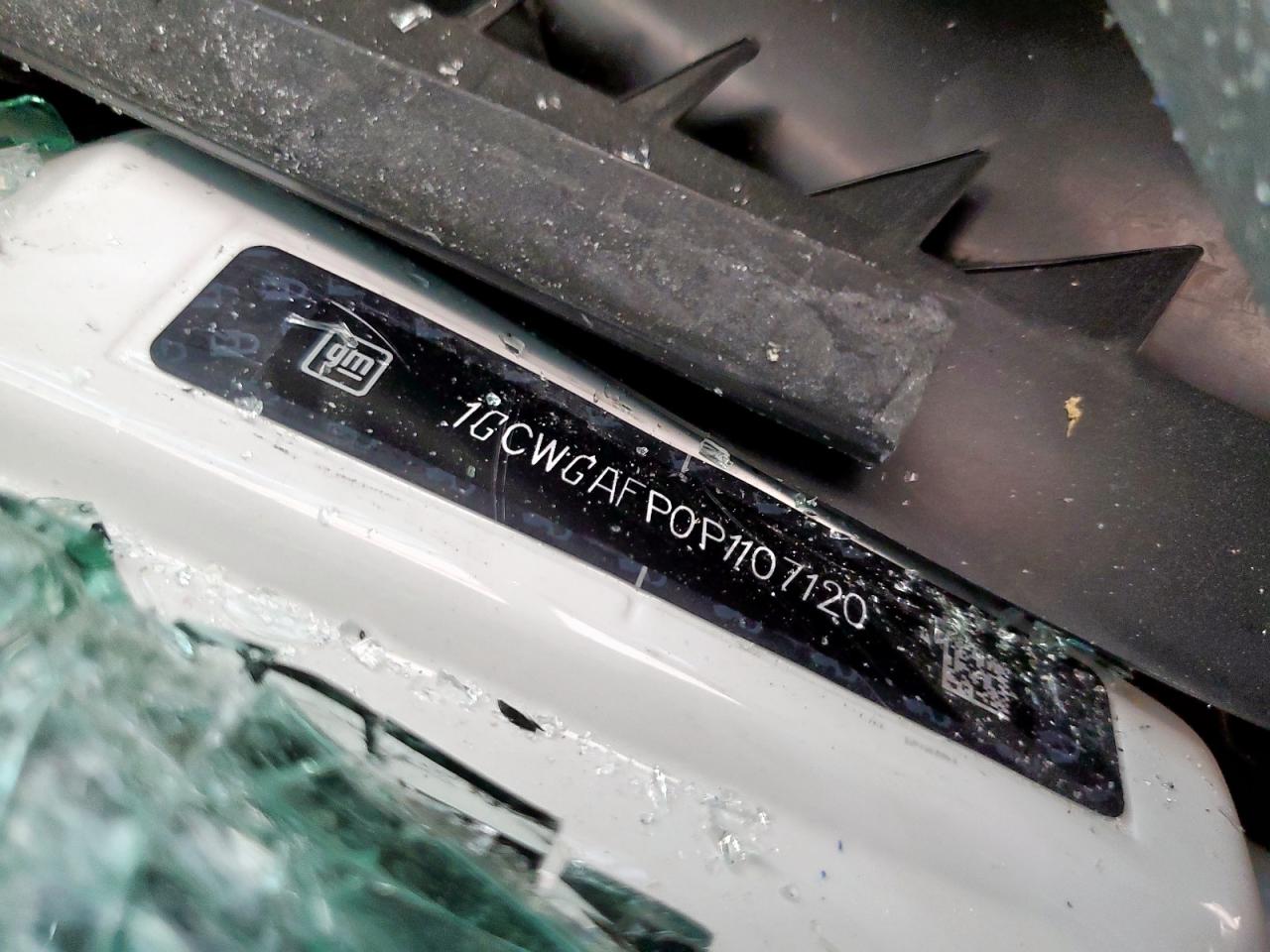 2023 Chevrolet Express G2500 VIN: 1GCWGAFP0P1107120 Lot: 80196095