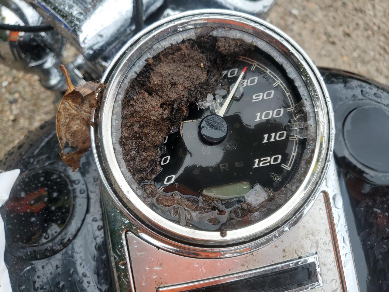 2021 Harley-Davidson Flhr VIN: 1HD1FBC11MB601137 Lot: 71524555