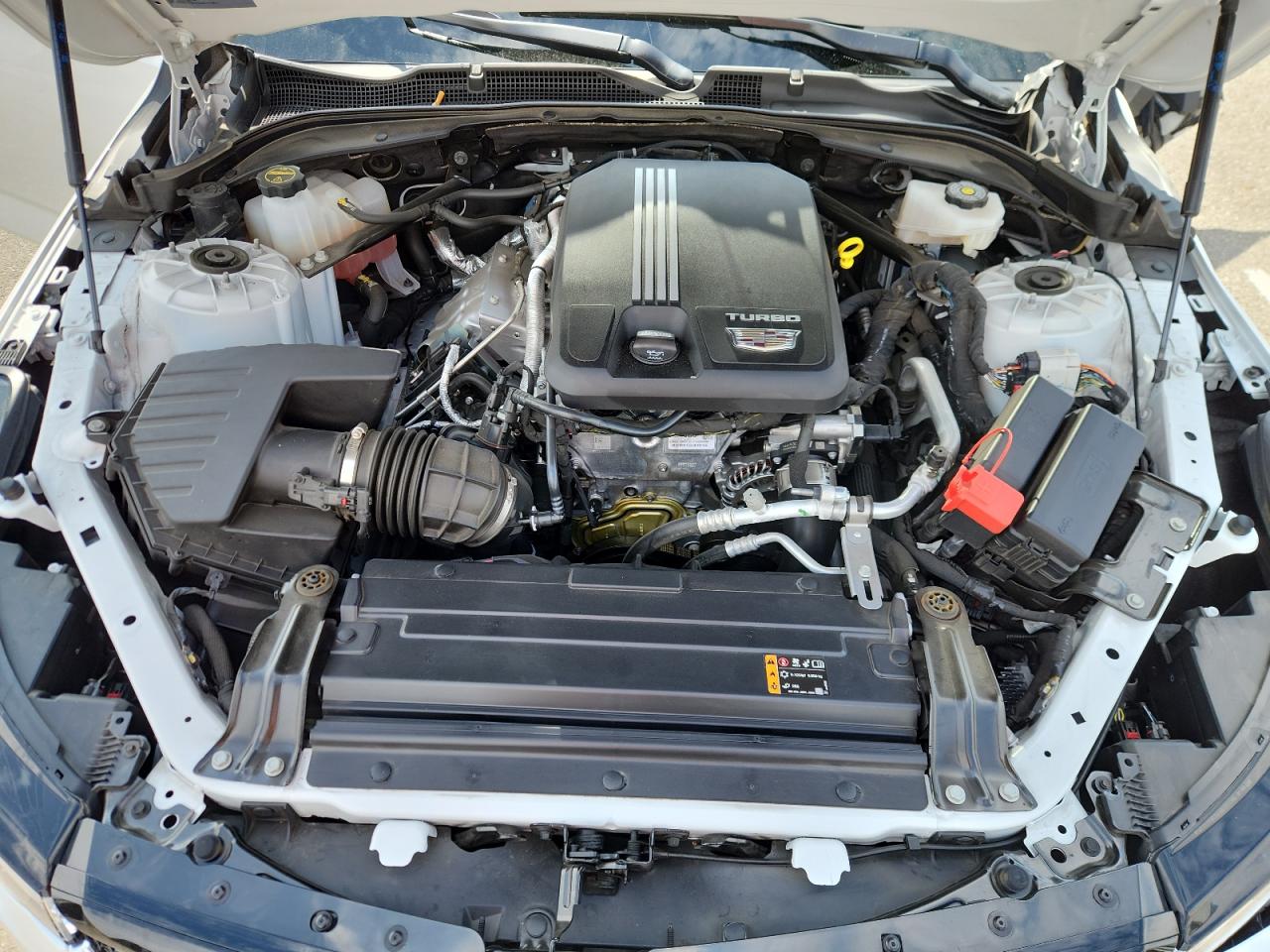 2024 Cadillac Ct4 Sport VIN: 1G6DC5RK7R0132022 Lot: 81501225