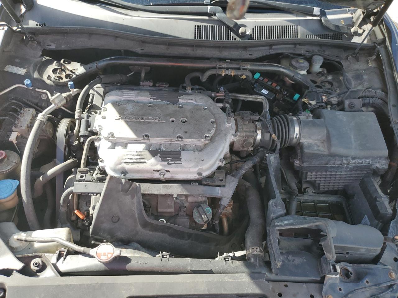 2009 Honda Accord Exl VIN: 1HGCS21849A003144 Lot: 81765775