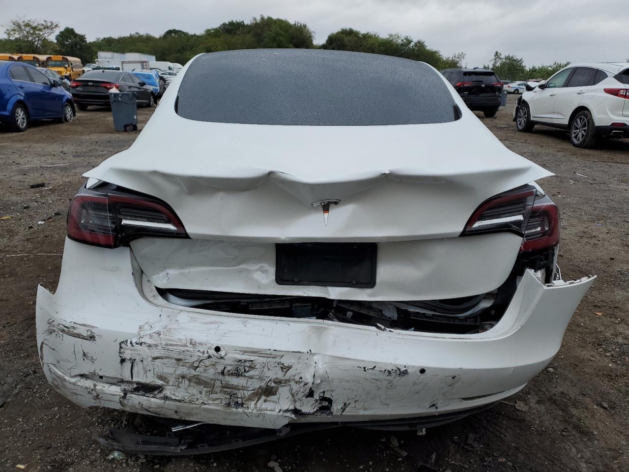 2019 Tesla Model 3 VIN: 5YJ3E1EA9KF397198 Lot: 80166795