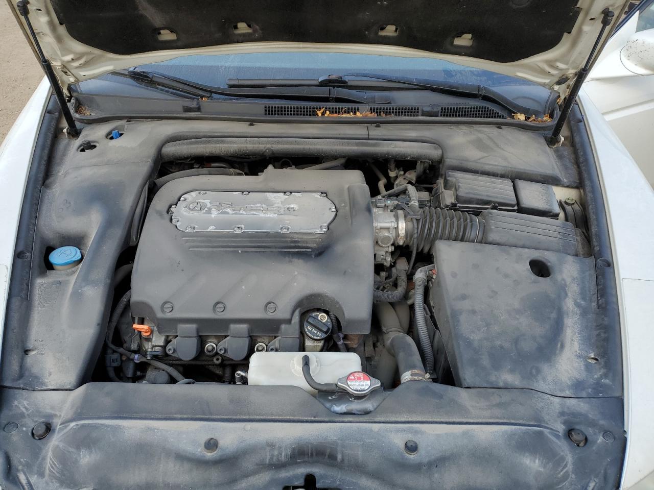 2006 Acura 3.2Tl VIN: 19UUA662X6A804031 Lot: 80606945