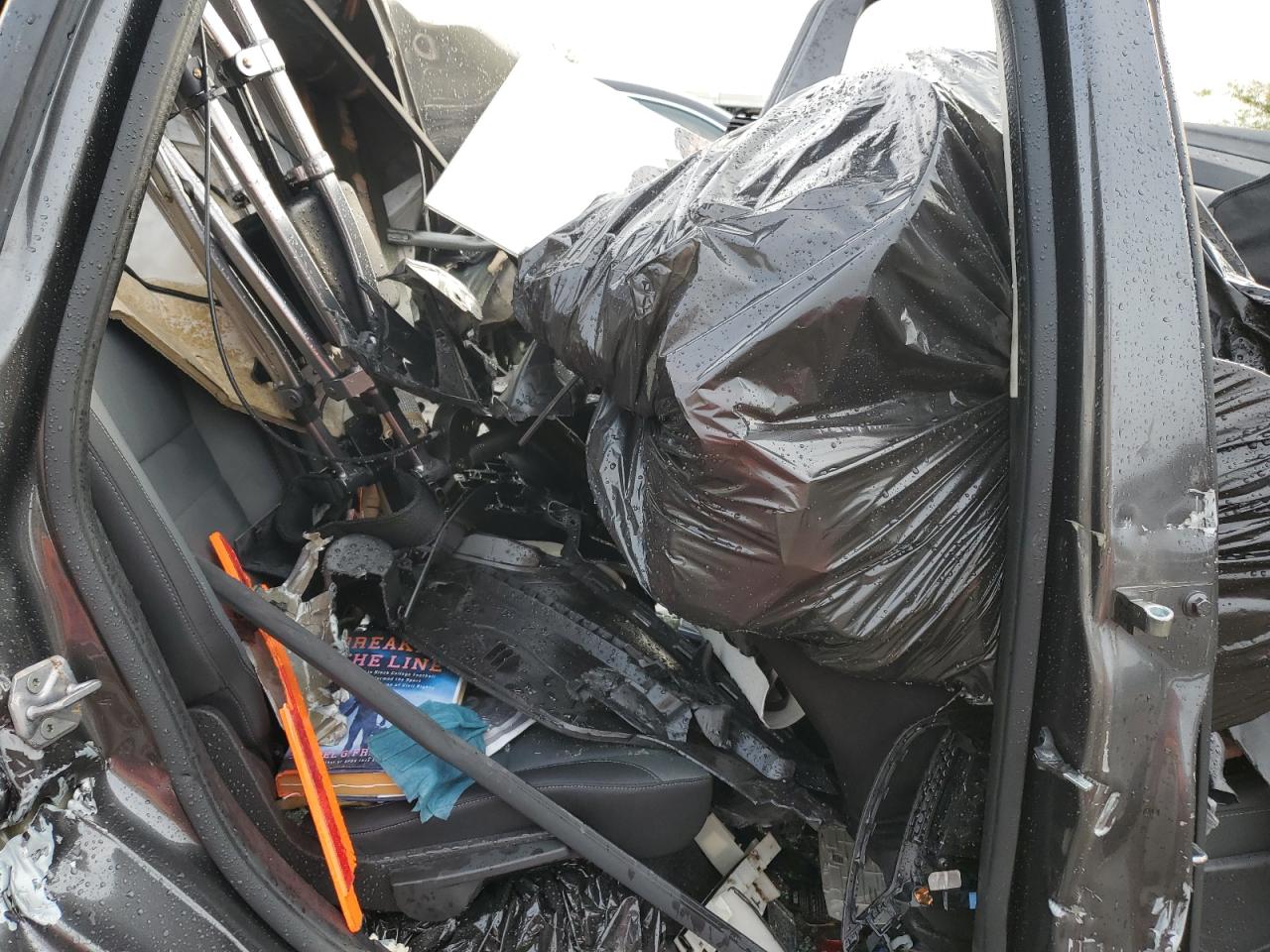 2016 Ford C-Max Se VIN: 1FADP5AU4GL103495 Lot: 81780815