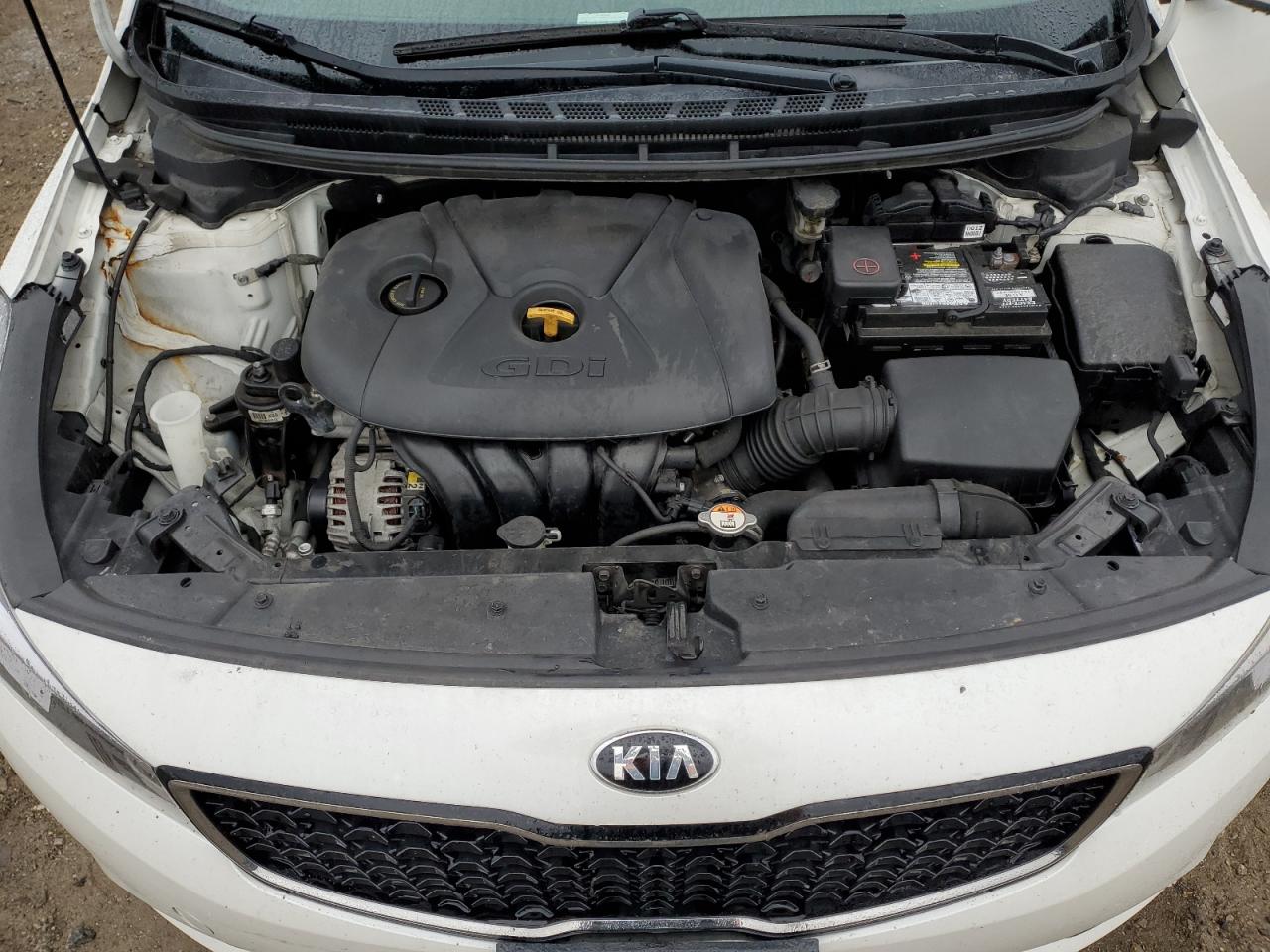 2017 Kia Forte Lx VIN: KNAFK5A81H5668665 Lot: 80010015