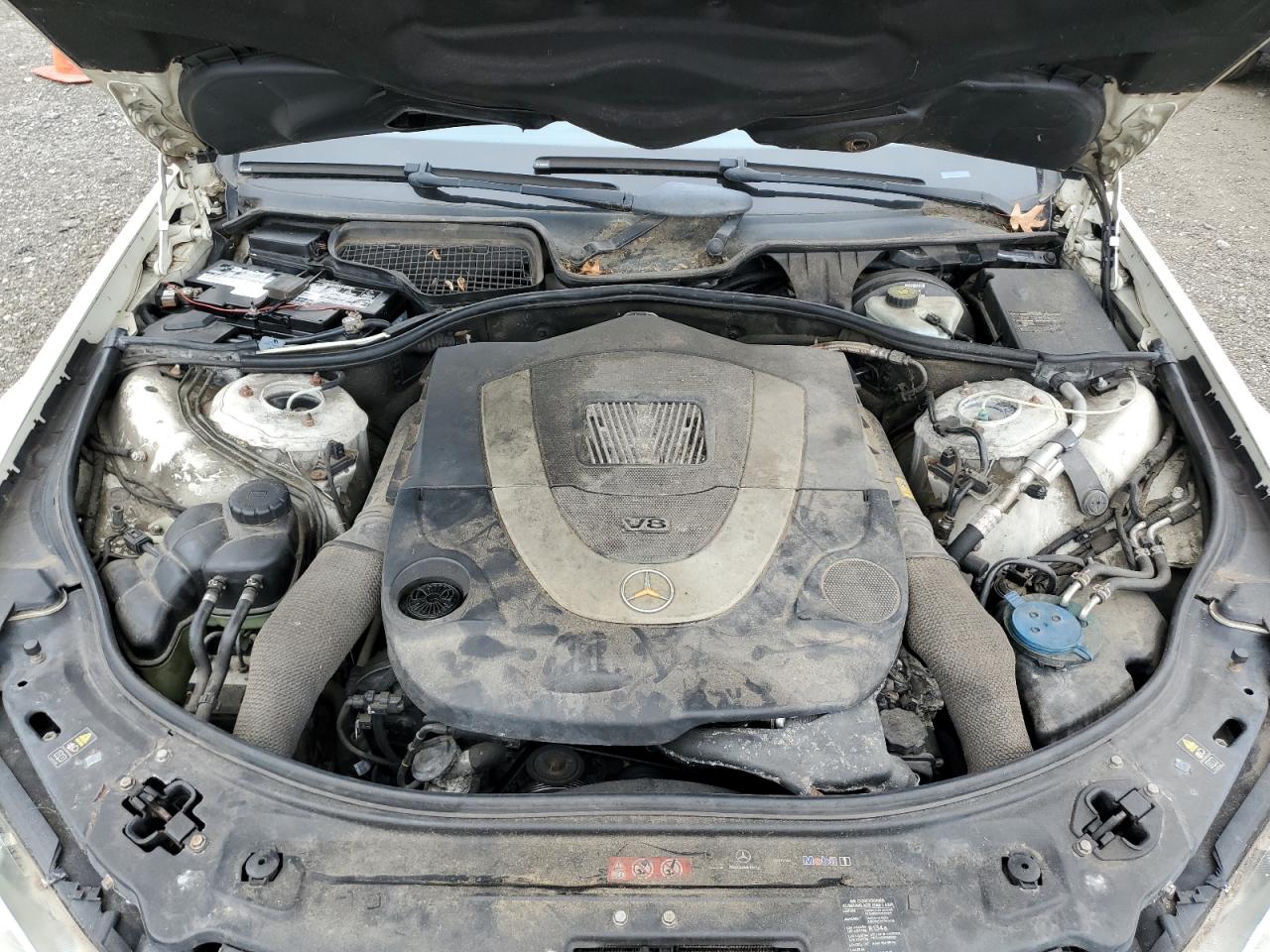 2009 Mercedes-Benz S 550 4Matic VIN: WDDNG86X09A263140 Lot: 81526295