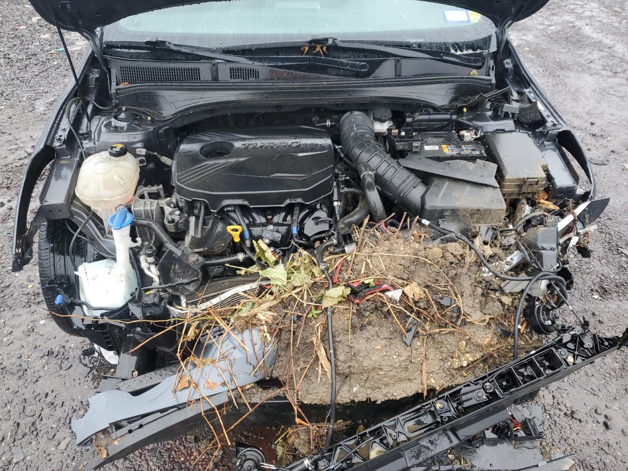 2022 Kia Forte Gt VIN: 3KPF44AC9NE481203 Lot: 80022255