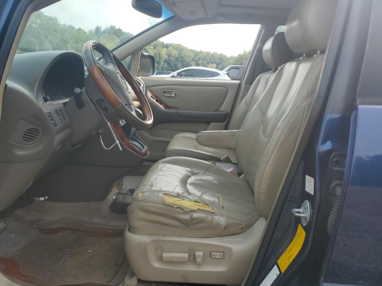 2001 Lexus Rx 300 VIN: JTJHF10U610208120 Lot: 71275495