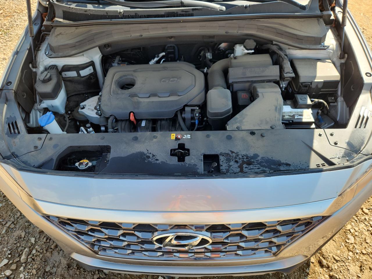 2020 Hyundai Santa Fe Sel VIN: 5NMS33AD9LH252062 Lot: 81024165