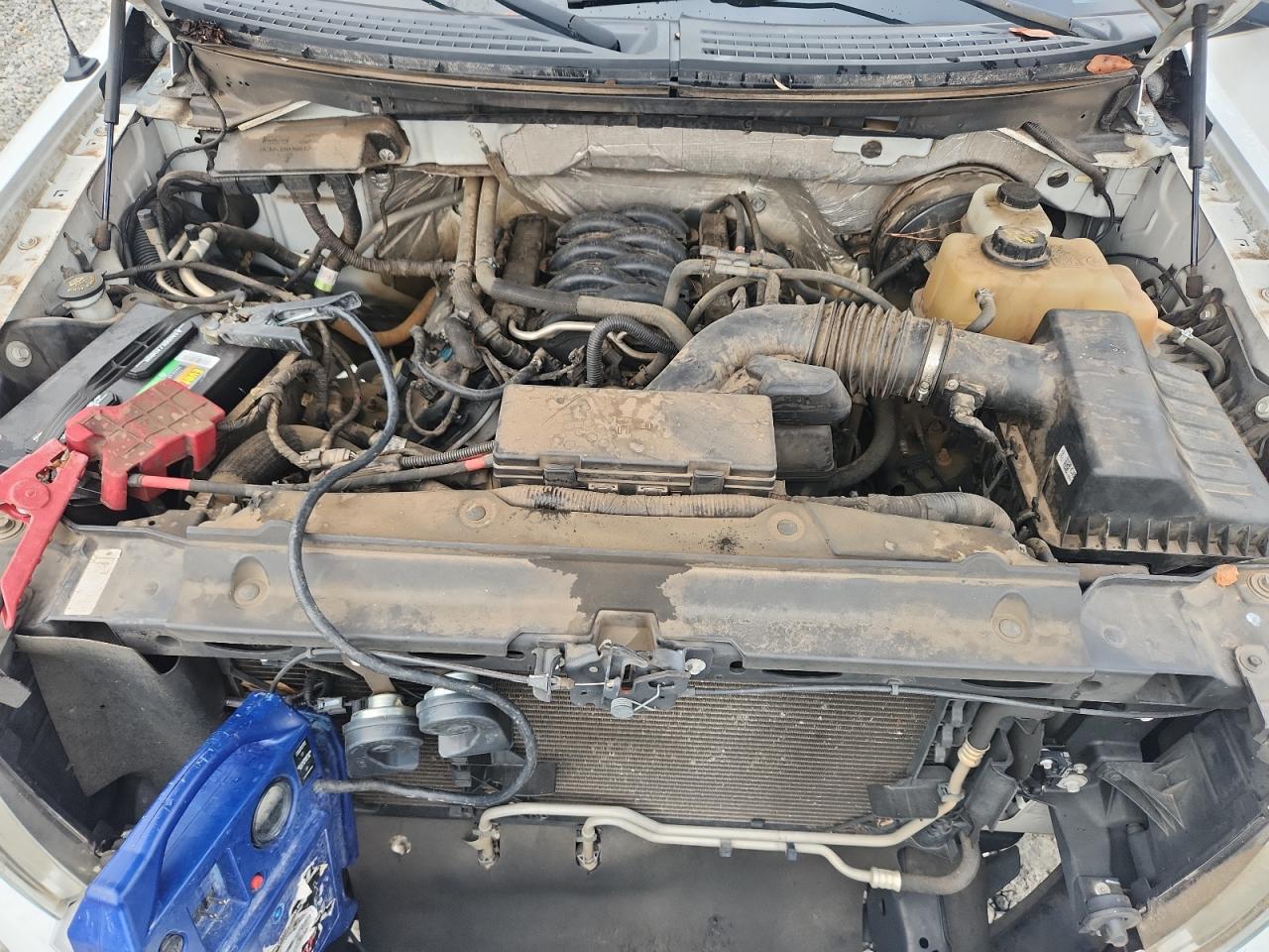 2012 Ford F150 VIN: 1FTNF1CFXCKD53963 Lot: 84153015