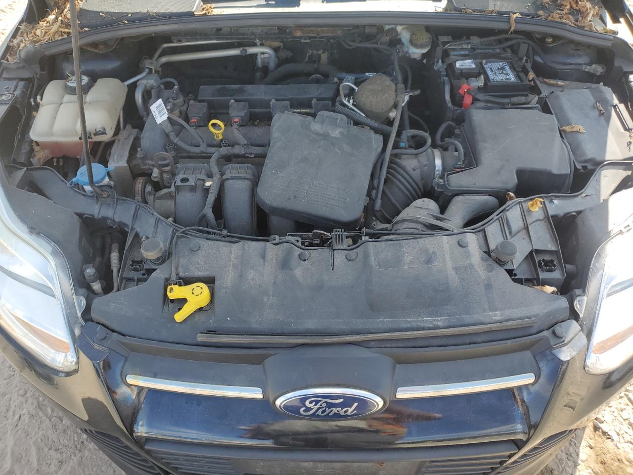 2013 Ford Focus Se VIN: 1FADP3K27DL186322 Lot: 81152905