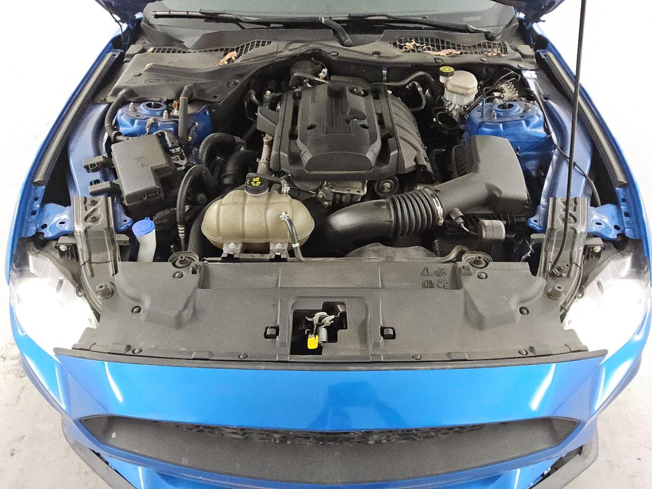 2020 Ford Mustang VIN: 1FA6P8TH4L5183020 Lot: 81164355