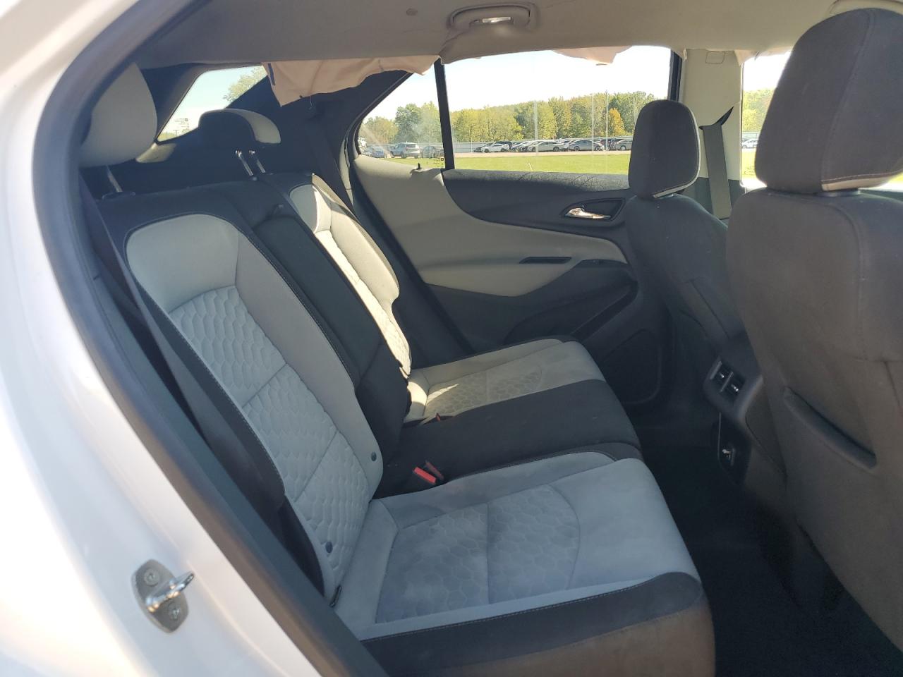 2020 Chevrolet Equinox Ls VIN: 2GNAXHEV1L6124896 Lot: 81932425