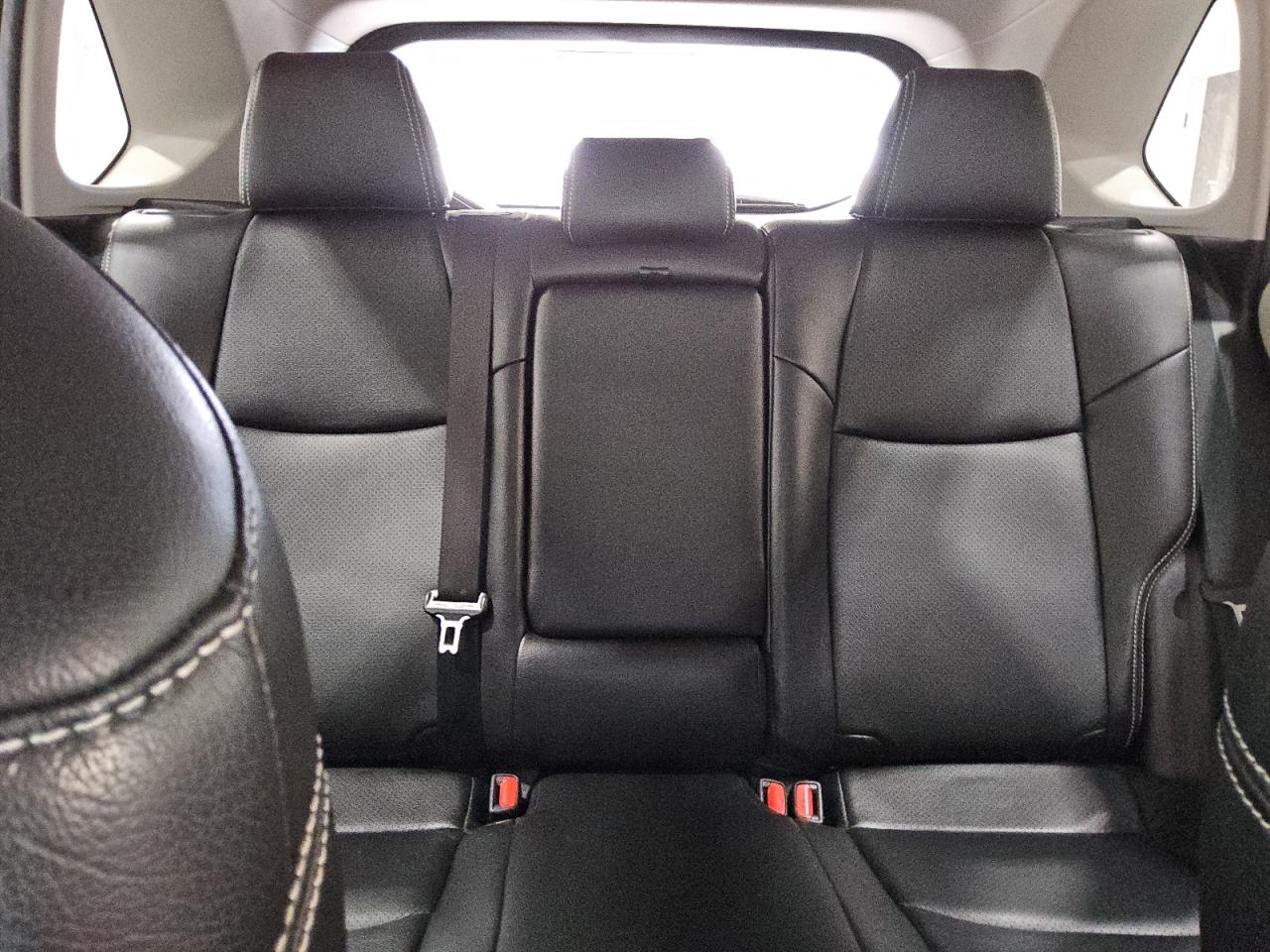 2023 Toyota Rav4 Xle VIN: JTMRWRFV0PD193735 Lot: 81216285