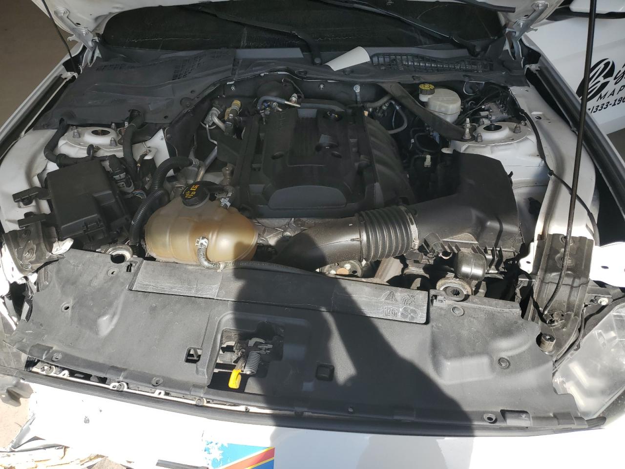 2020 Ford Mustang VIN: 1FATP8UH2L5101285 Lot: 81823425