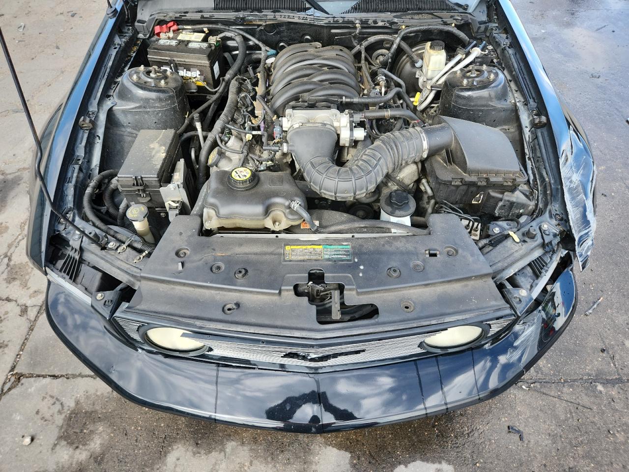 2009 Ford Mustang Gt VIN: 1ZVHT82H295134243 Lot: 81117775