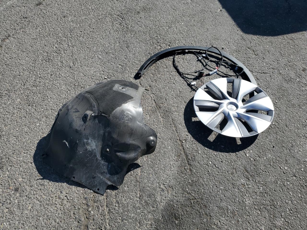 2023 Tesla Model Y VIN: 7SAYGDEE0PA093981 Lot: 71752045