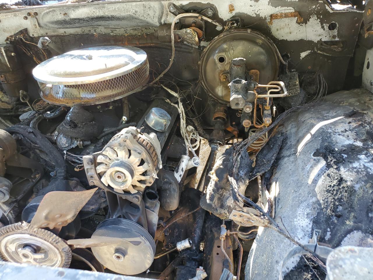 1994 GMC Sierra K1500 VIN: 1GTEK14H8RZ569788 Lot: 81019165