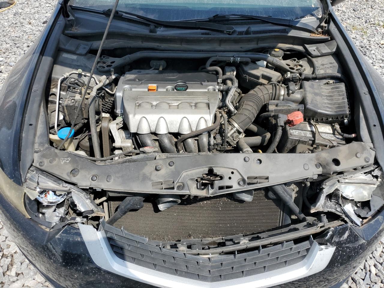 2010 Acura Tsx VIN: JH4CU2F61AC022287 Lot: 80575385