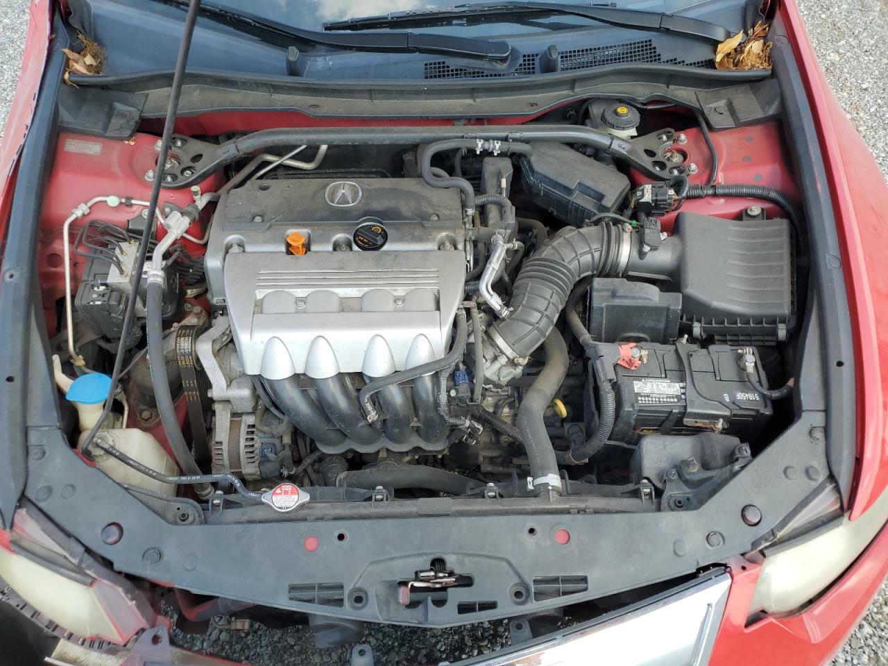 2012 Acura Tsx Se VIN: JH4CU2F8XCC001586 Lot: 81704645