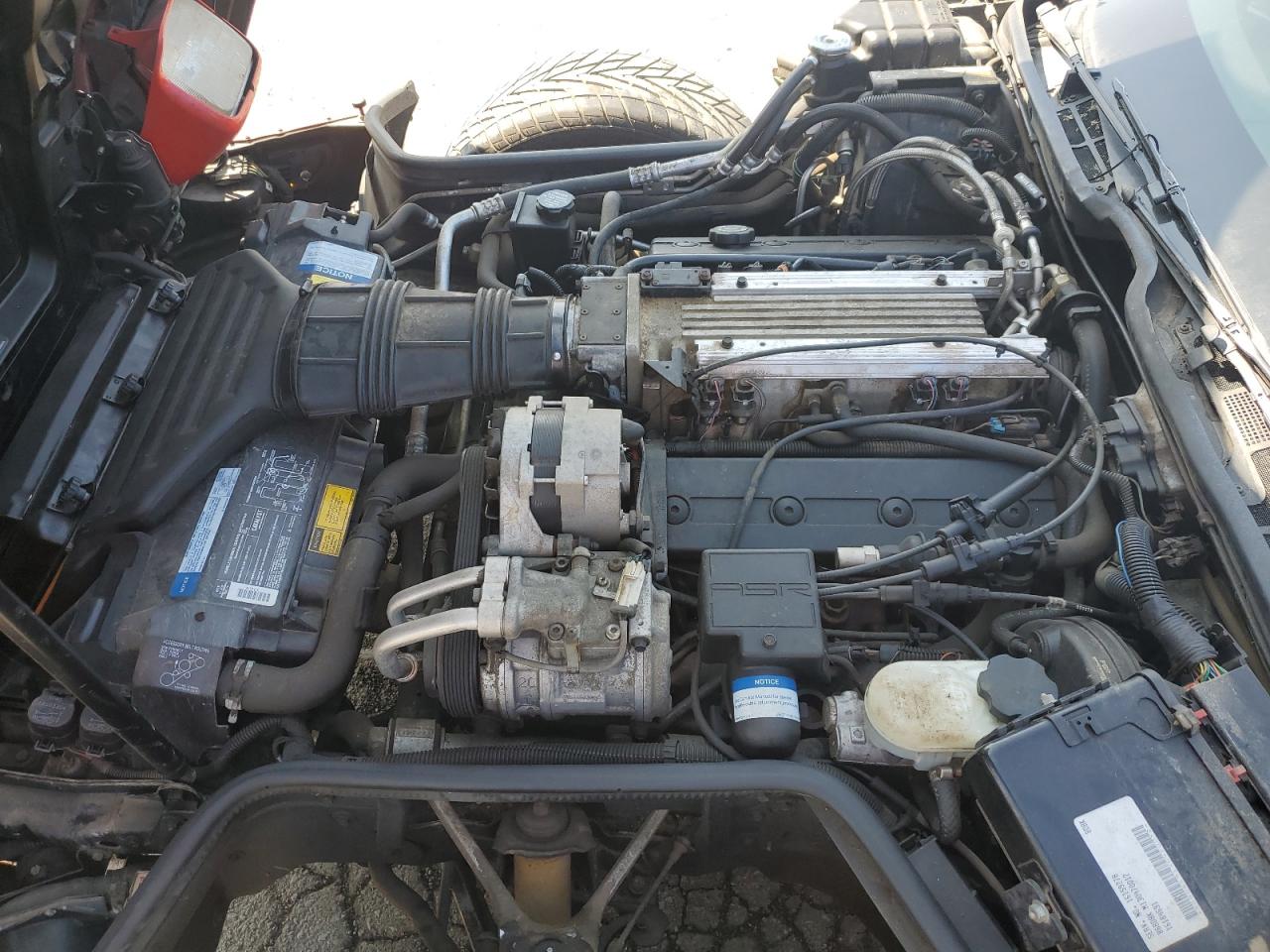 1993 Chevrolet Corvette VIN: 1G1YY23P8P5111515 Lot: 71668715