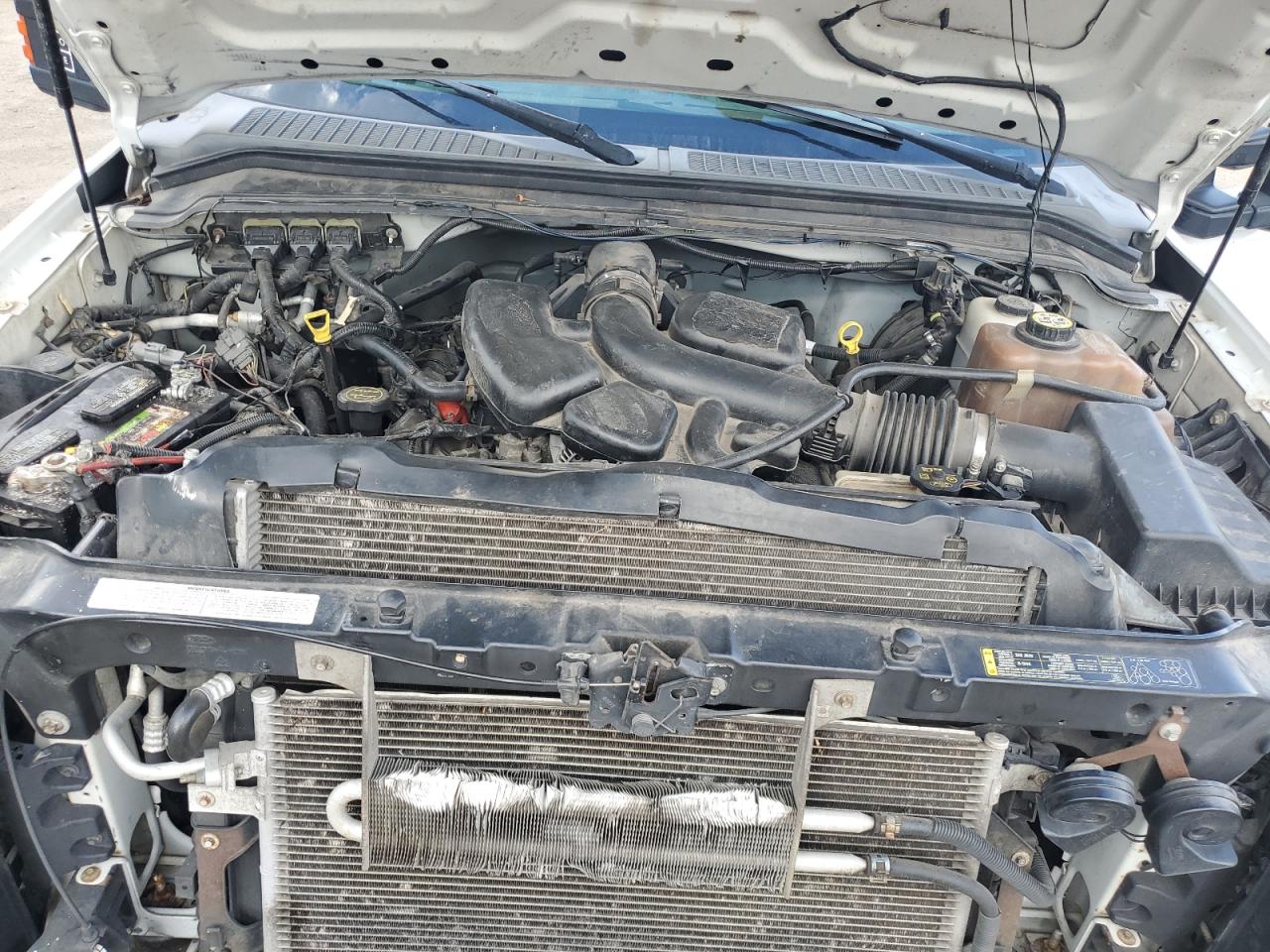 2008 Ford F250 Super Duty VIN: 1FTSW20568EE12548 Lot: 81730925