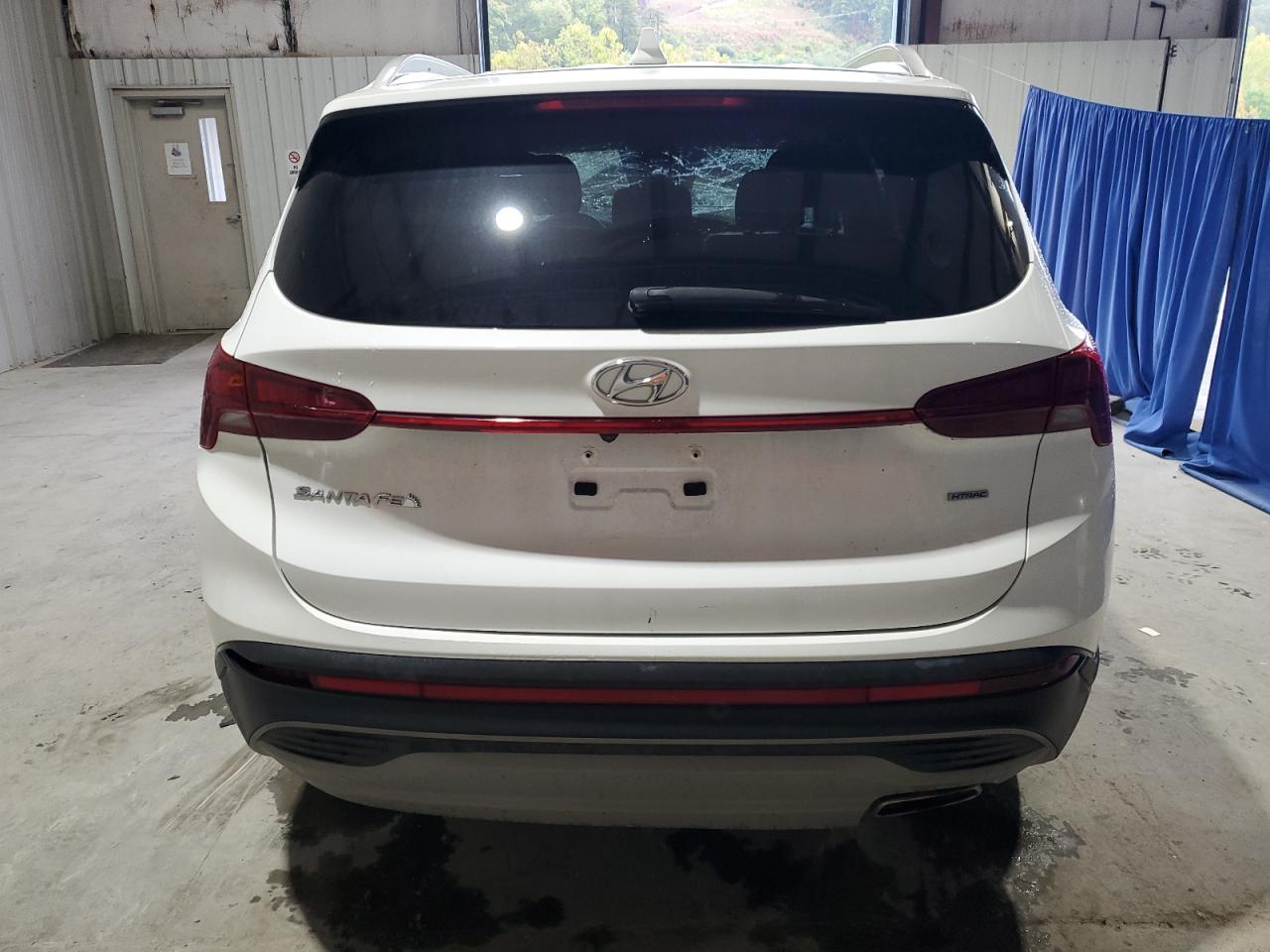 2023 Hyundai Santa Fe Sel VIN: 5NMS2DAJ7PH567477 Lot: 81279415
