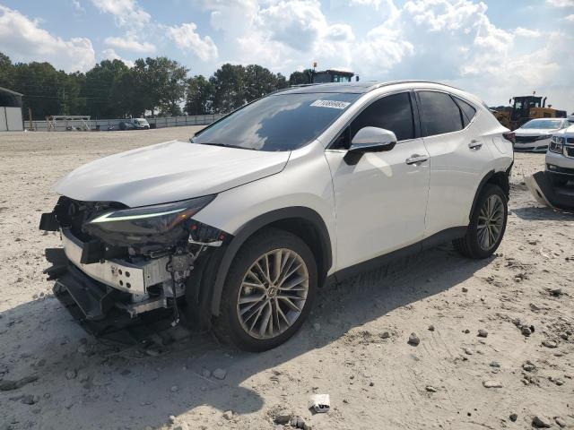 LEXUS NX 350 LUX 2024