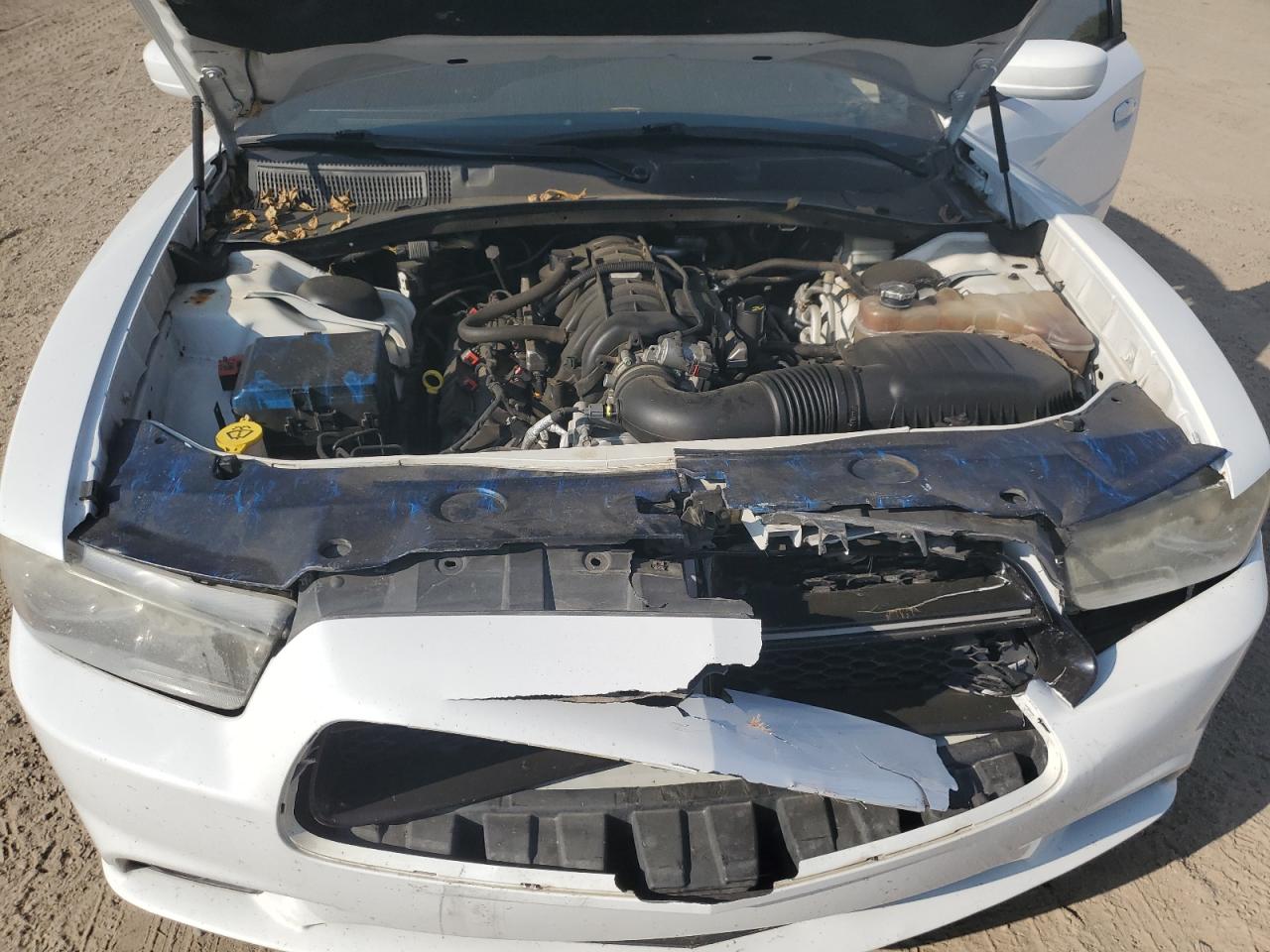 2014 Dodge Charger R/T VIN: 2C3CDXDT2EH282941 Lot: 80998345