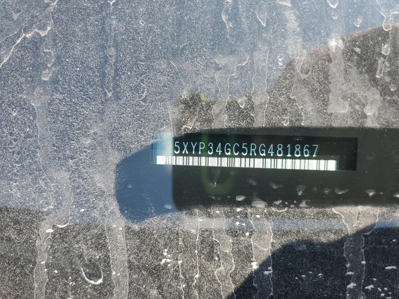 2024 Kia Telluride Ex VIN: 5XYP34GC5RG481867 Lot: 81043795