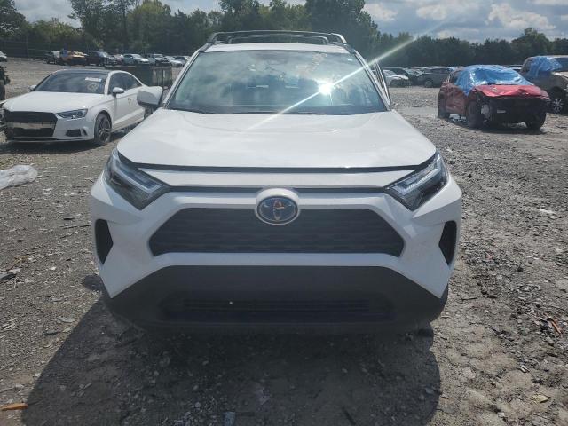  TOYOTA RAV4 2024 Белы