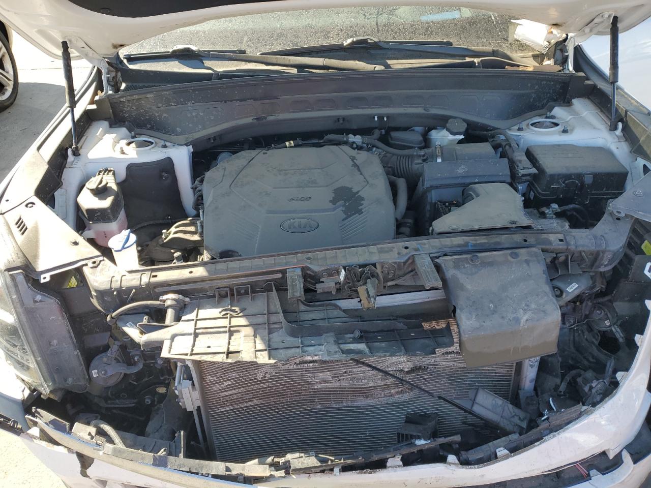 2021 Kia Telluride Sx VIN: 5XYP5DHC1MG165089 Lot: 80347445