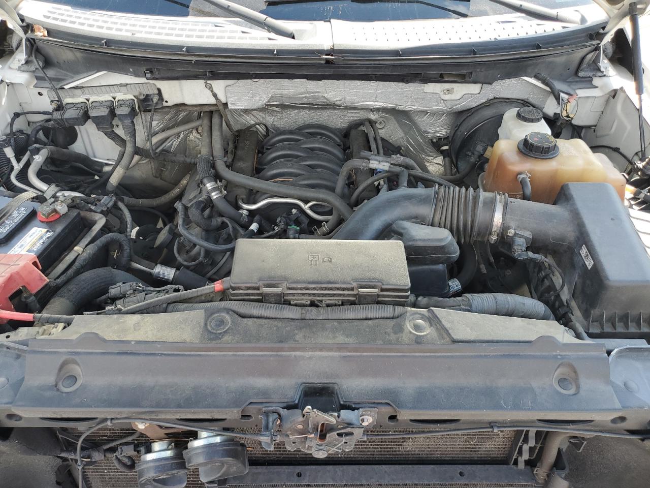 2013 Ford F150 Super Cab VIN: 1FTFX1CF8DFB77250 Lot: 81562845