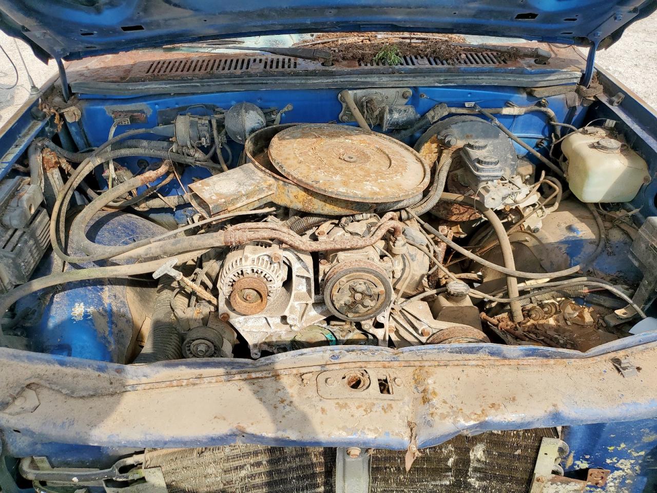1993 Dodge Dakota VIN: 1B7FL23X1PS135704 Lot: 71324365