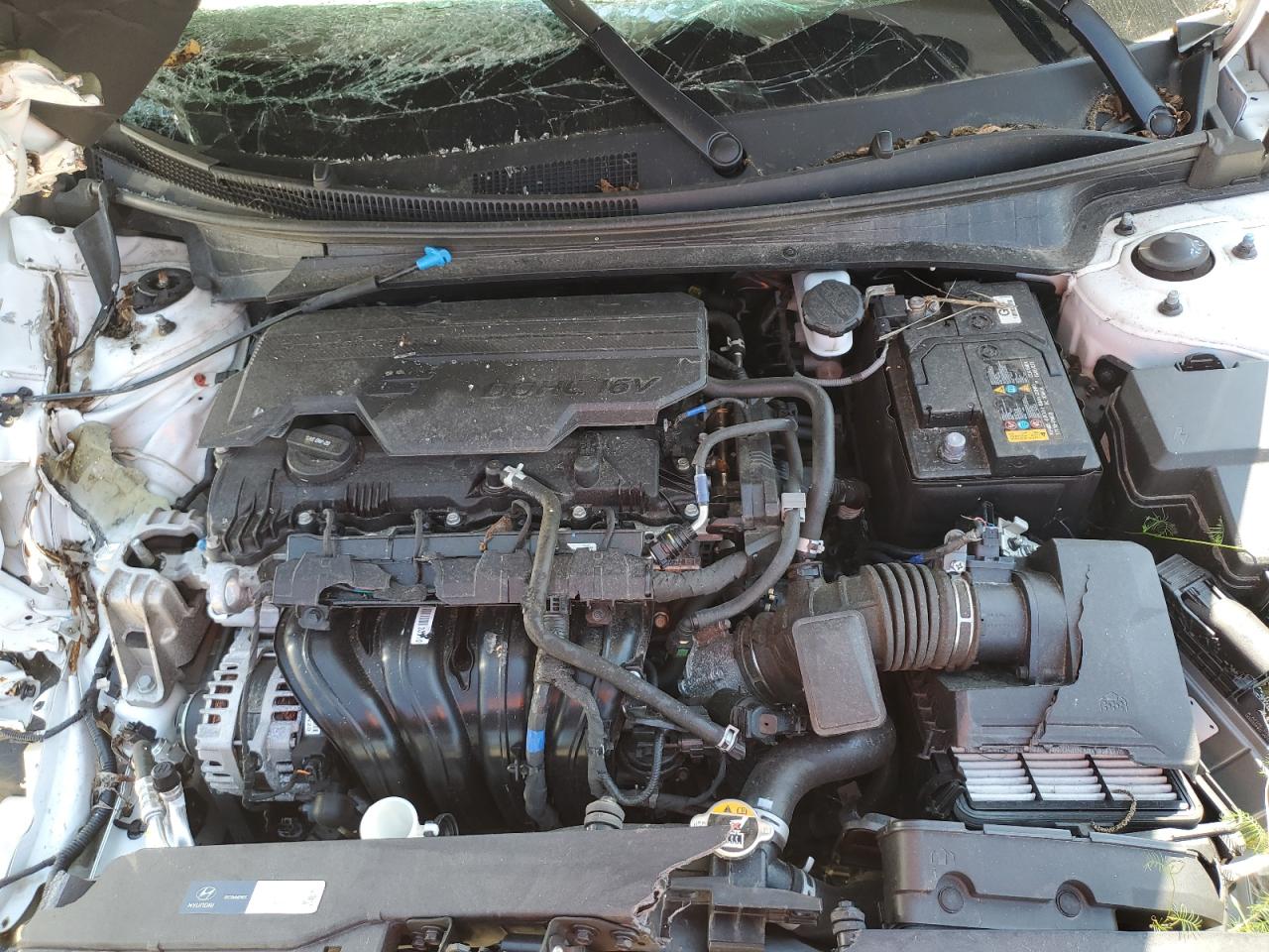 2025 Hyundai Elantra Sel Sport VIN: KMHLM4DG7SU877365 Lot: 81487585