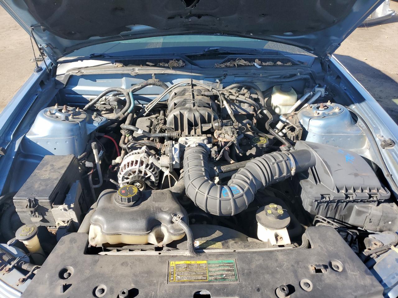 2006 Ford Mustang VIN: 1ZVFT84N765151383 Lot: 81586795