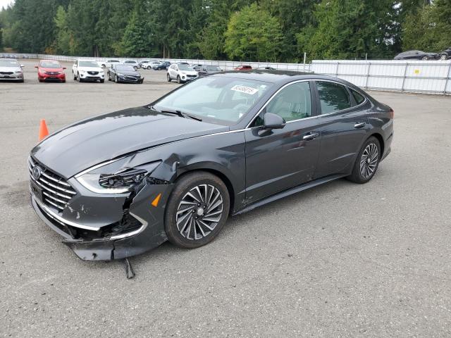 HYUNDAI SONATA HYB 2022