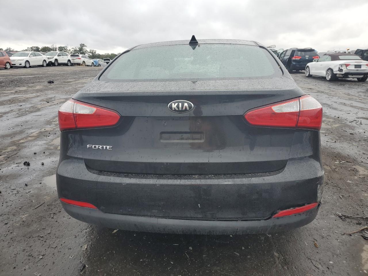 2015 Kia Forte Lx VIN: KNAFX4A63F5316503 Lot: 80097045