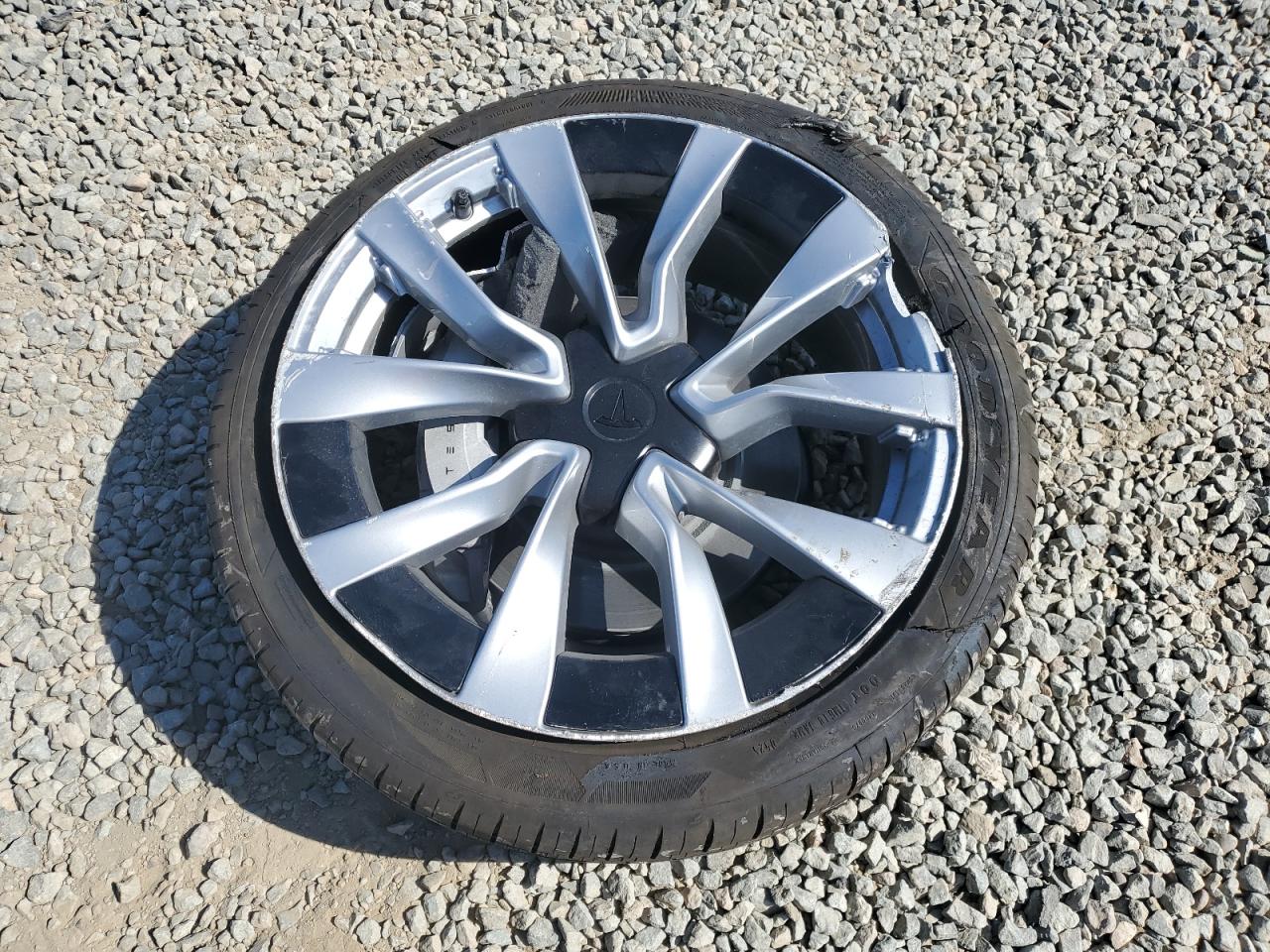 2025 Tesla Model 3 VIN: 5YJ3E1EAXSF015342 Lot: 81062665